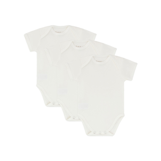 Ely's & Co 3pk Ribbed Short Sleeve Undershirt - EC0451